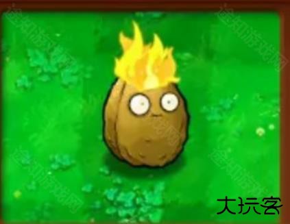 植物大战僵尸杂交植物