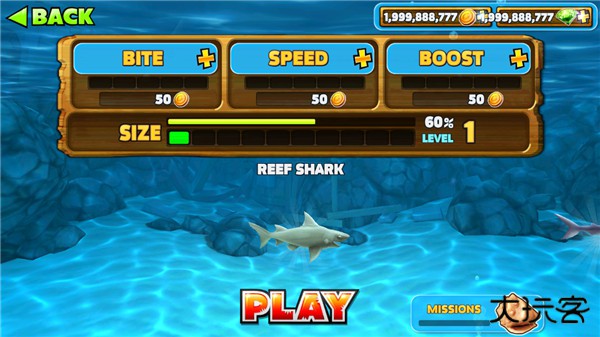 饥饿的鲨鱼进化