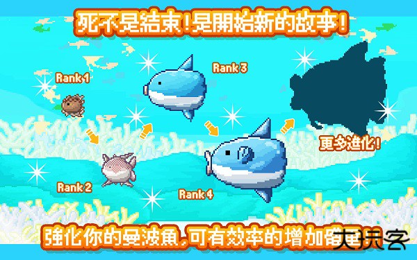 活下去曼波鱼下载 v3.2.6