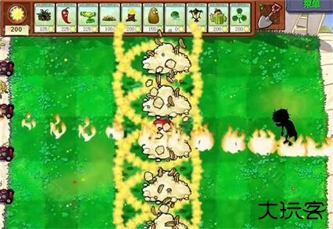 植物大战僵尸吃不了席版