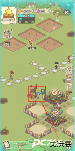 我家后院有座岛