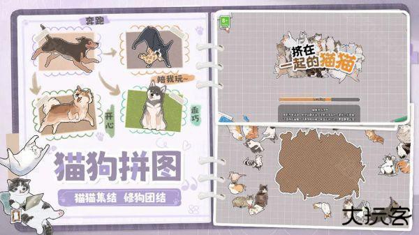 挤在一起的猫猫官方版