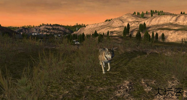 野狼谜踪下载 v2.7.4p4