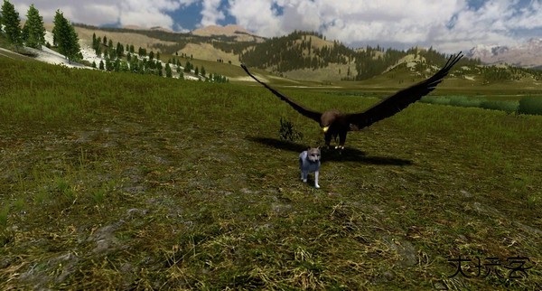 野狼谜踪下载 v2.7.4p4