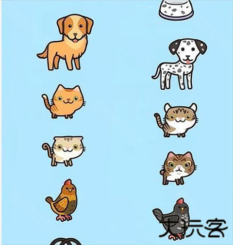 米加小镇世界宠物自建房