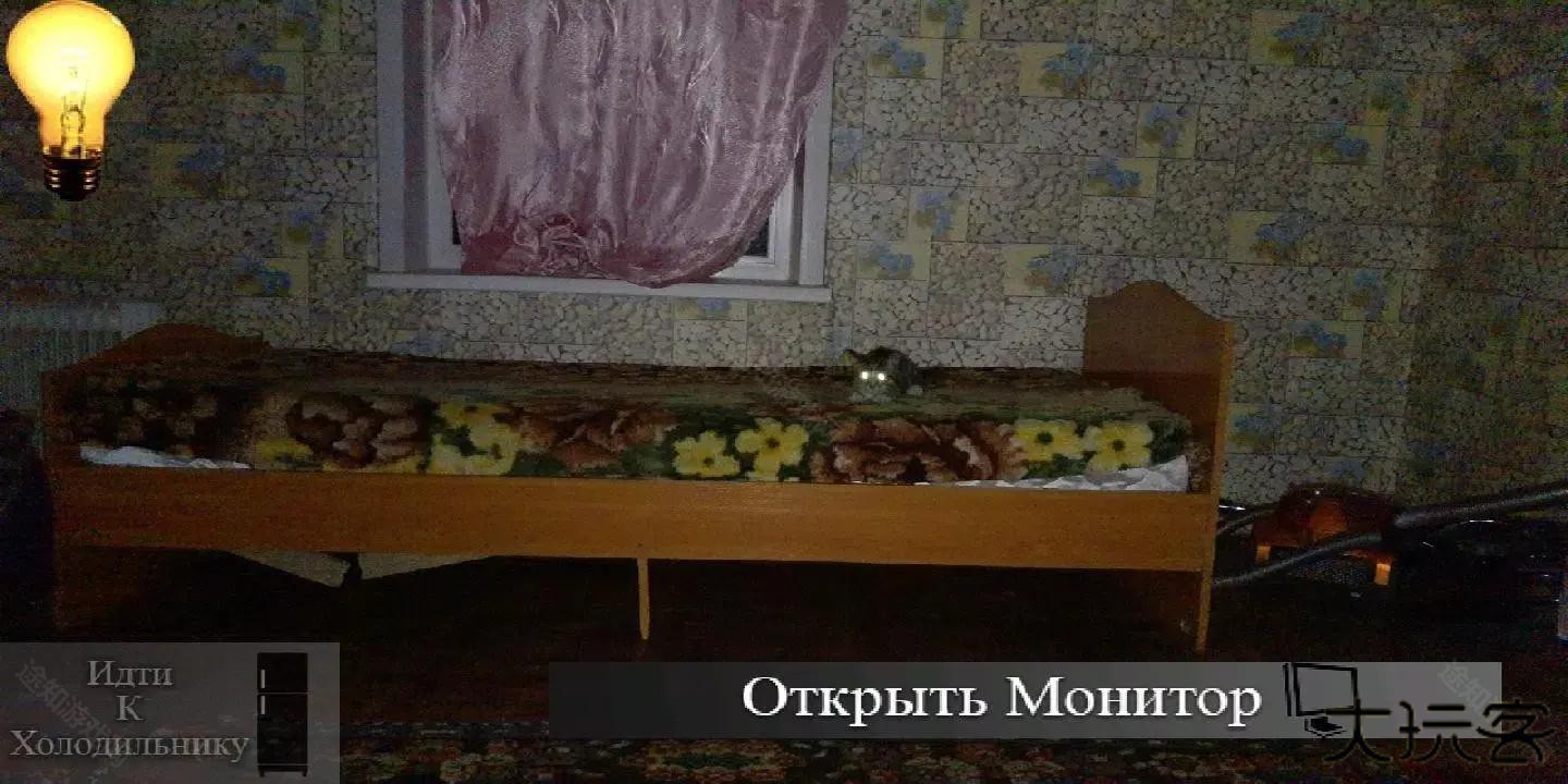 刺猬的五夜后宫免广告