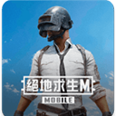 pubg台服手游下载 v4.0.0