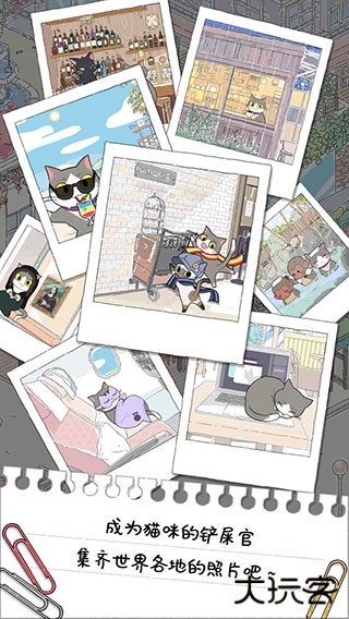 猫友圈猫咪的旅行