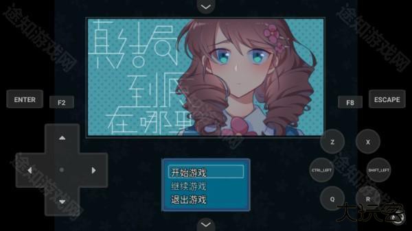 真结局到底在哪里手机版