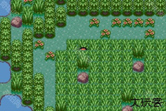 口袋妖怪格查尔联机版