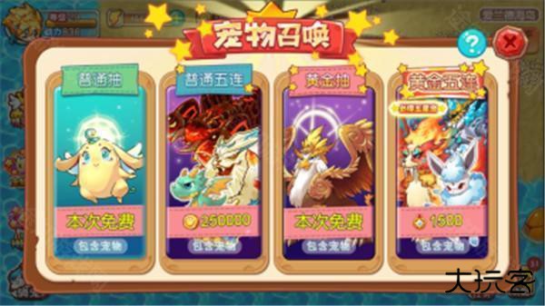 宠物王国外传尼尔版本抽宠物攻略3