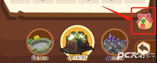 我家猫开的修仙中心