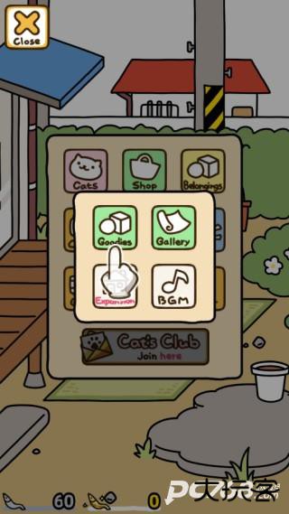 猫咪后院2国际服