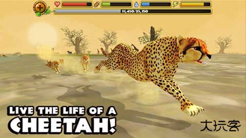 猎豹模拟器下载 v1.1