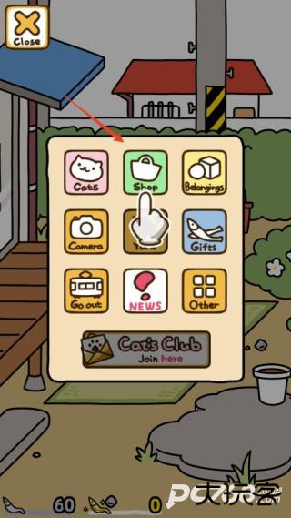 猫咪后院2国际服