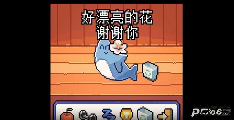 warma我的小鲨鱼