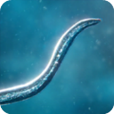 孢子模拟器下载 v55.70