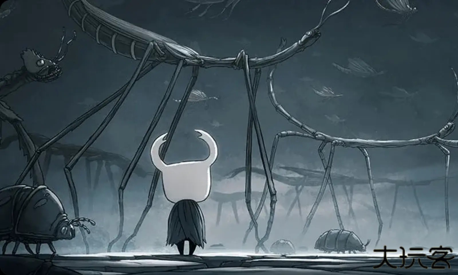 空洞骑士hollow knight