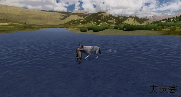 野狼谜踪下载 v2.7.4p4