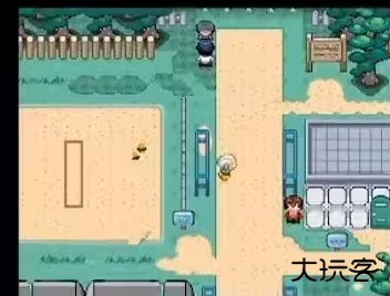 宝可梦迷之规则