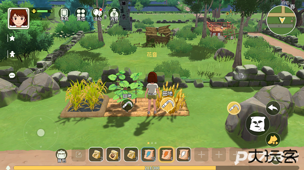 新小森生活正版