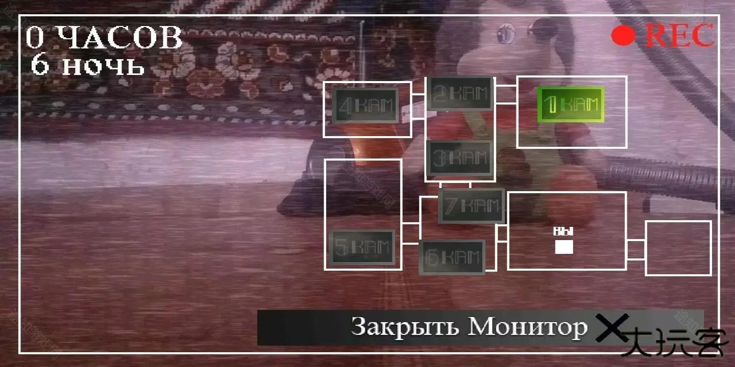 刺猬的五夜后宫免广告