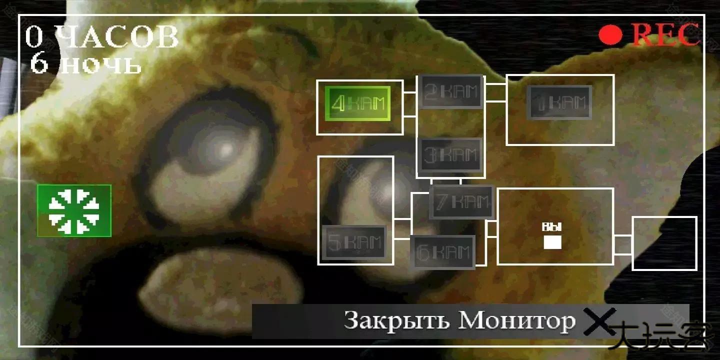 刺猬的五夜后宫免广告