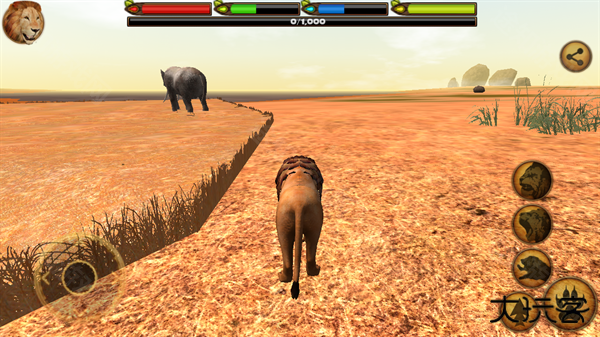 终极狮王模拟器满级版