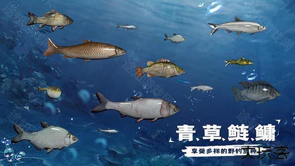 天天钓鱼达人版