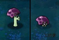 植物大战僵尸内置修改器版