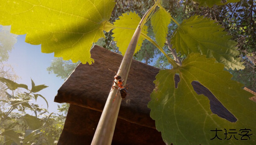 蚂蚁帝国下载 v1.3.4