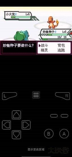 口袋妖怪最后的火红