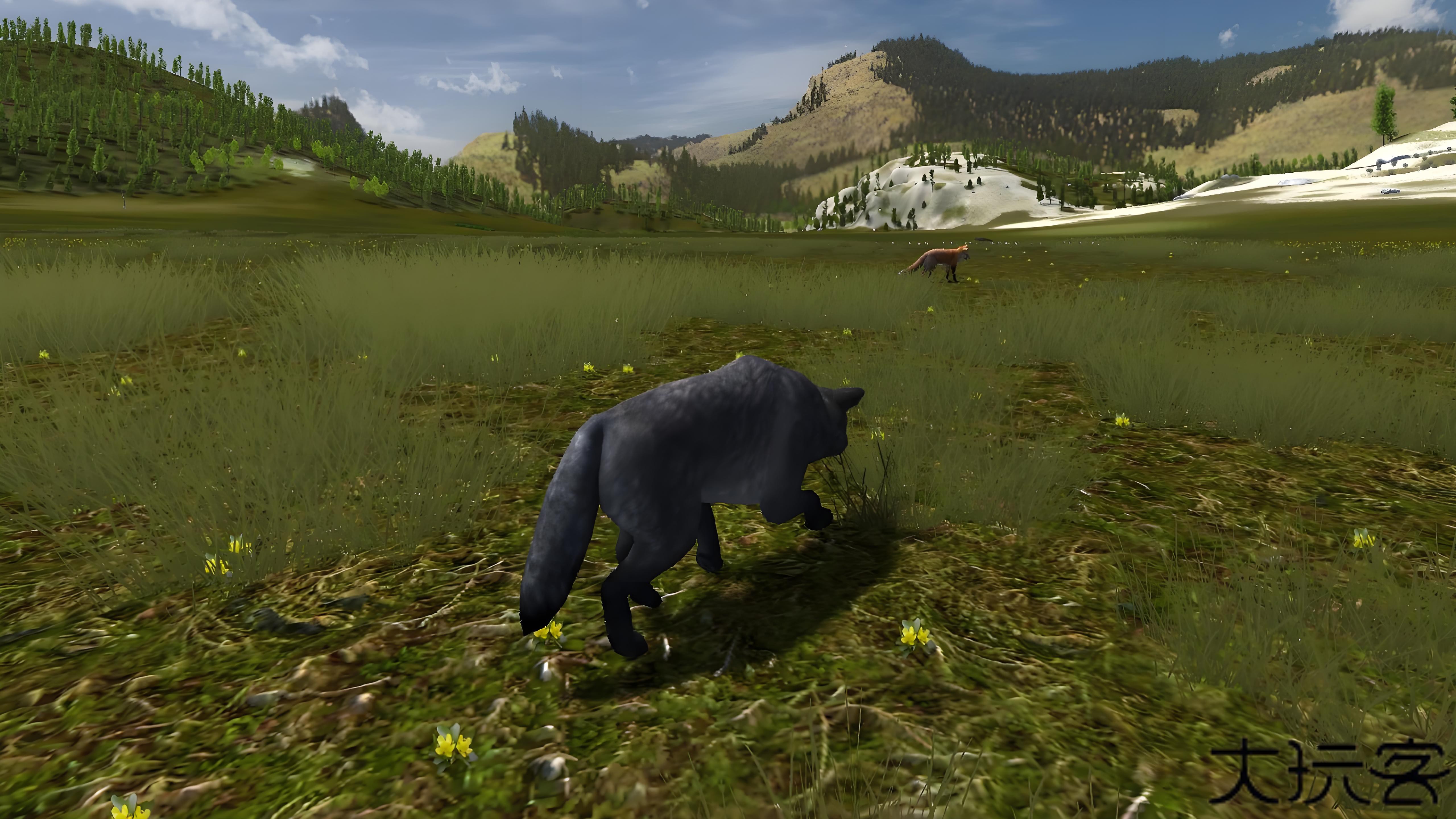 野狼迷踪下载 v2.7.4p4