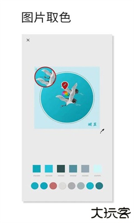 观色配色下载 v1.049