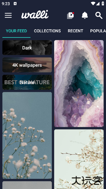 Walli4K壁纸下载 v2.12.83