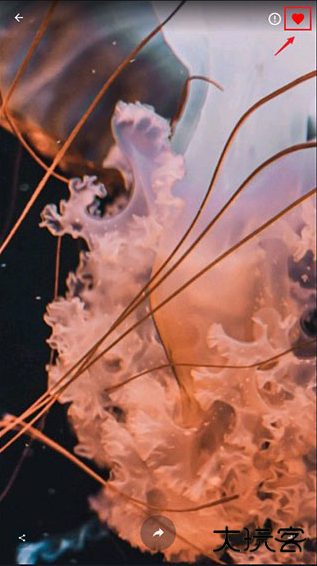 4K Wallpapersapp最新版下载