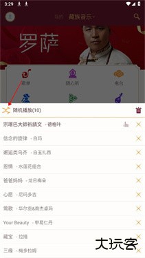 雪域音乐app