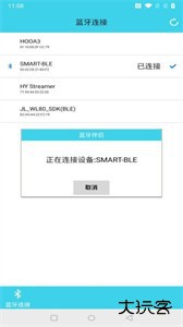 蓝牙伴侣安卓版