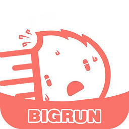bigrun论坛下载 v2.5.6