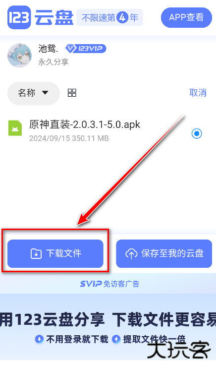 池鸳原神启动器