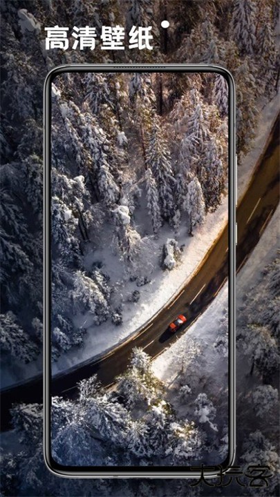 小熊桌面壁纸安卓手机版下载 v1.1