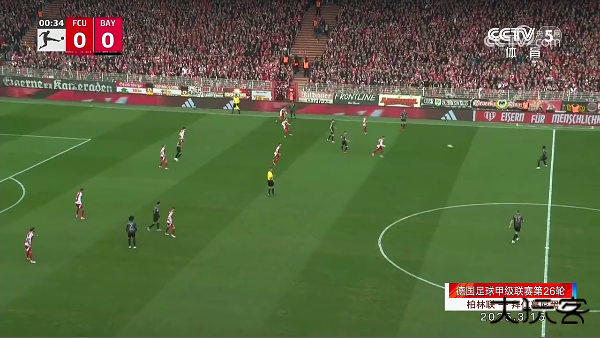 油桃TV电视版app