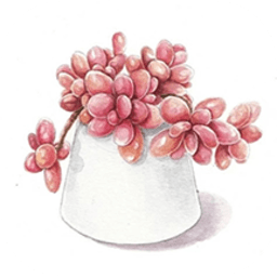 多肉花草成长日记官方版下载下载 v1.9