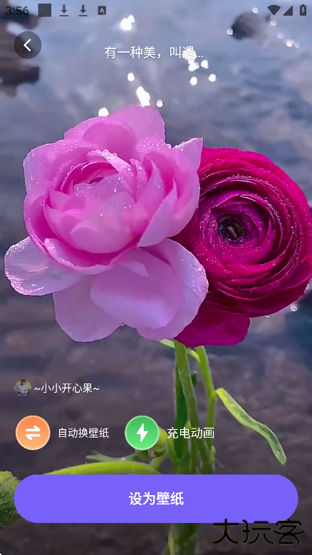 梦幻视界壁纸最新版下载下载 v1.6.1