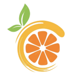 citron模拟器下载 ve2808ec