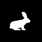 Pika助手app下载 v1.0.2