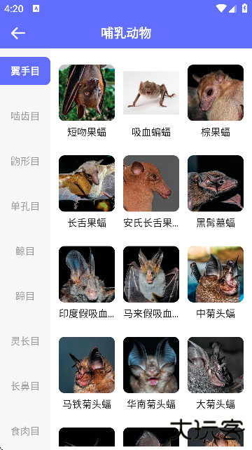 动物拍照识别app下载安装官方版本