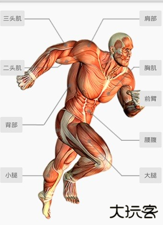 健身宝典安卓手机版