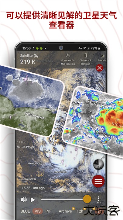 windy气象下载 v81.0.0
