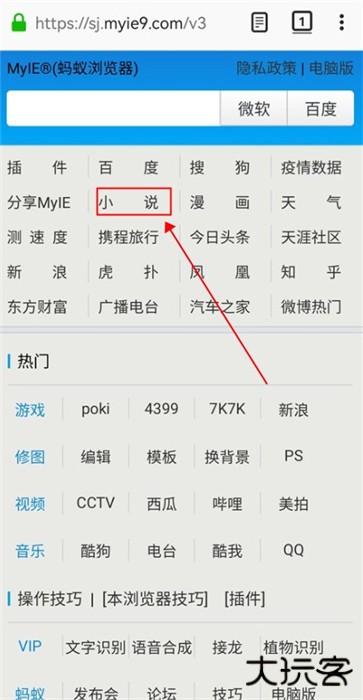 蚂蚁浏览器先锋版